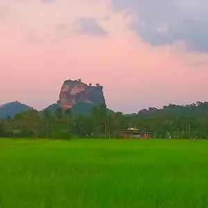 View , Сигирия Шри-Ланка
