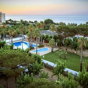 Càmping Bellsol Camping